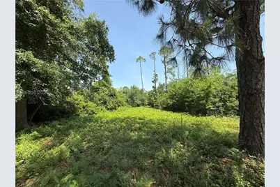 5 Caladium Court, Hilton Head Island, SC 29926 - Photo 1
