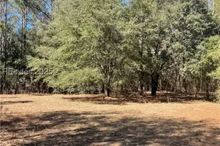 D Stock Farm Rd, Ridgeland, SC 29936 - Photo 1