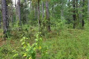 Tbd Tina Manker, Ridgeland, SC 29936 - Photo 1