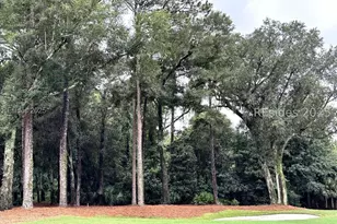 406 Long Cove Dr, Hilton Head Island, SC 29928 - Photo 1