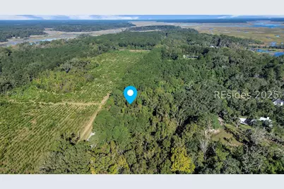 Parcel Ab Knowles Island Rd, Ridgeland, SC 29936 - Photo 1