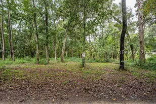 42 Presnell Cir, Beaufort, SC 29906 - Photo 1