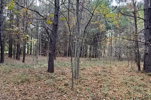 33 Pearl Harbour Dr, Saint Helena Island, SC 29920 - Photo 1