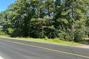 Tbd Deerfield Rd, Hardeeville, SC 29927 - Photo 1