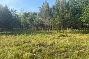 177 Spann Circle, Seabrook, SC 29940 - Photo 1