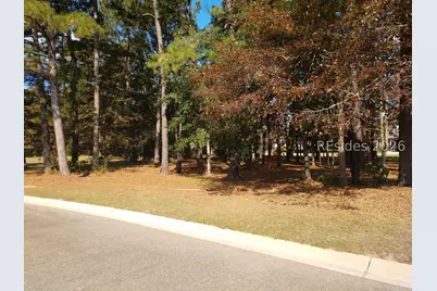 102 Blessing Drive, Bluffton, SC 29909 - Photo 1