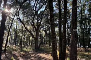 6008 Green Pond Dr, Beaufort, SC 29906 - Photo 1