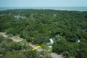 401 Remora Dr, Fripp Island, SC 29920 - Photo 42