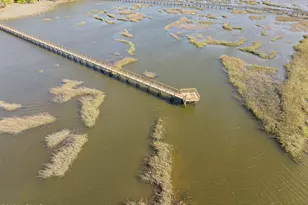 104 Barnaby Blf, Seabrook, SC 29940 - Photo 60