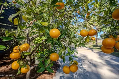 40 Front Street, Saint Helena Island, SC 29920 - Photo 62