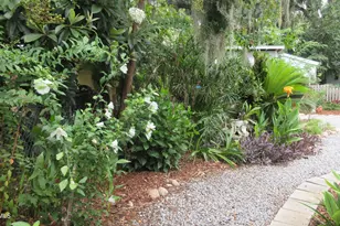 906 10th St, Port Royal, SC 29935 - Photo 6