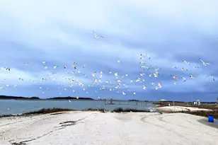 906 10th St, Port Royal, SC 29935 - Photo 70