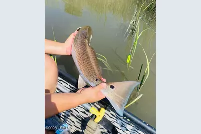 88 Tomotley Barony Drive, Seabrook, SC 29940 - Photo 62