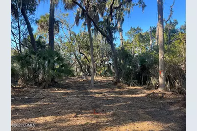 51 Harbor River Circle, Saint Helena Island, SC 29920 - Photo 16