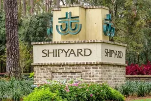 17 Bridgeport Ln, Hilton Head Island, SC 29928 - Photo 56