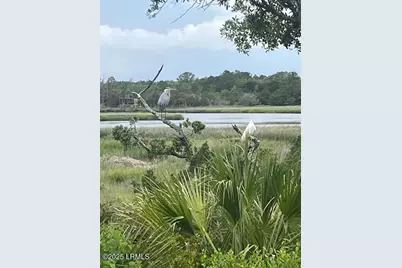 1418 Gleasons Landing Drive, Saint Helena Island, SC 29920 - Photo 48