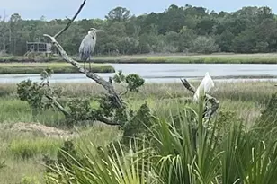 1418 Gleasons Landing Dr, Saint Helena Island, SC 29920 - Photo 48