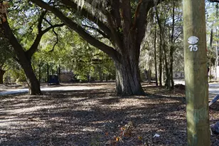 109 Crosby St, Walterboro, SC 29488 - Photo 10