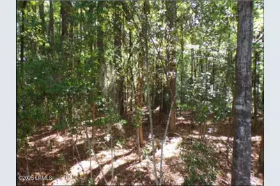 Tbd Arbor Victory, Beaufort, SC 29907 - Photo 4