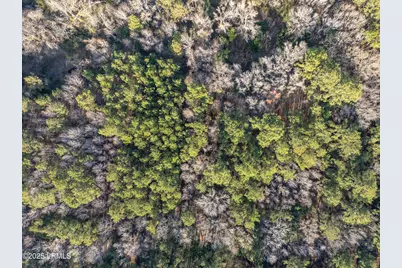 26 Swamprose Lane, Seabrook, SC 29940 - Photo 12