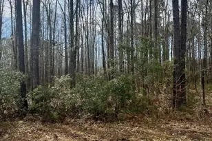 112 Founders Oak Wy, Yemassee, SC 29945 - Photo 4