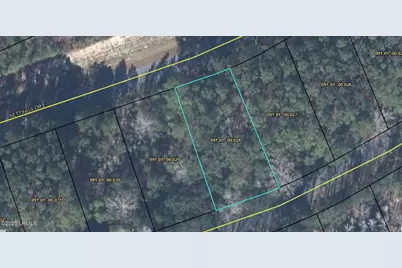 237 Founders Oak Way, Yemassee, SC 29945 - Photo 2