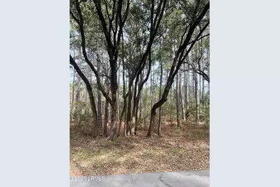 237 Founders Oak Way, Yemassee, SC 29945 - Photo 4