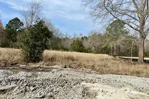 127 Chicora Ln, Yemassee, SC 29945 - Photo 4