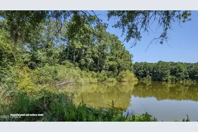 31 Shorts Landing Road, Beaufort, SC 29907 - Photo 18