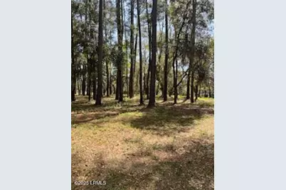 73 Bermuda Downs, Saint Helena Island, SC 29920 - Photo 6