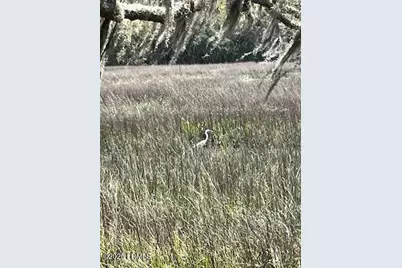 73 Bermuda Downs, Saint Helena Island, SC 29920 - Photo 2