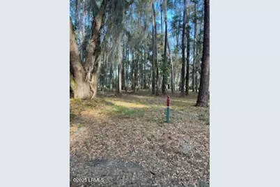 73 Bermuda Downs, Saint Helena Island, SC 29920 - Photo 20