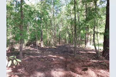 Tbd Charleston Highway, Sheldon, SC 29941 - Photo 10