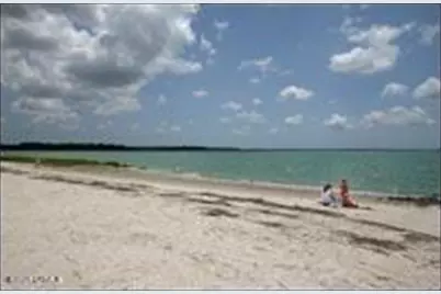 901 7th Street, Port Royal, SC 29935 - Photo 18