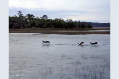 205 Distant Island Drive, Beaufort, SC 29907 - Photo 20