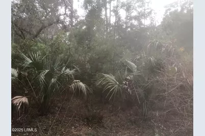 3 Ocean Marsh Court, Saint Helena Island, SC 29920 - Photo 16