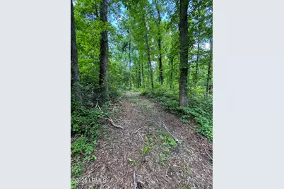 Tbd Confederate Highway, Fairfax, SC 29827 - Photo 6