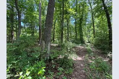 Tbd Confederate Highway, Fairfax, SC 29827 - Photo 4