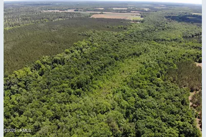 Tbd Confederate Highway, Fairfax, SC 29827 - Photo 2