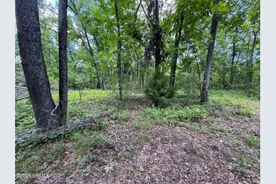 Tbd Confederate Highway, Fairfax, SC 29827 - Photo 8