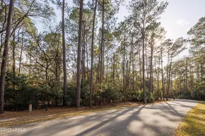 14 Vista Boulevard W, Saint Helena Island, SC 29920 - Photo 18
