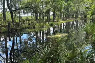 13 Wee Hope Loop, Walterboro, SC 29488 - Photo 6