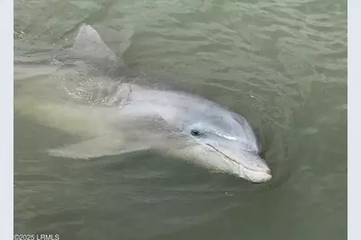 775 Distant Island Drive, Beaufort, SC 29907 - Photo 12