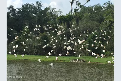 535 Distant Island Drive, Beaufort, SC 29907 - Photo 20