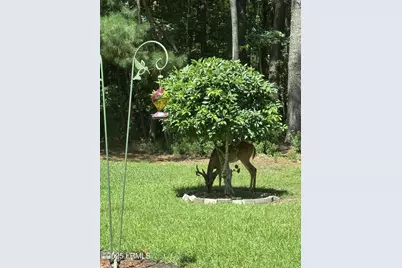 10 Screven Court, Bluffton, SC 29909 - Photo 38