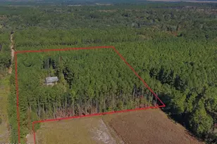 3769 Rice Shire Rd, Ridgeland, SC 29936 - Photo 28