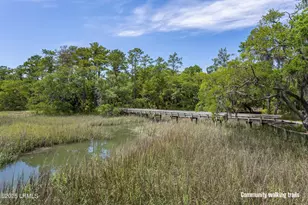 315 Distant Is Dr, Beaufort, SC 29907 - Photo 54