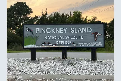 123 Sandcastle Court, Hilton Head Island, SC 29928 - Photo 94