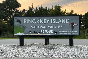 123 Sandcastle Ct, Hilton Head Island, SC 29928 - Photo 94