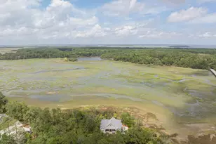 10 Woodstork Landing, Okatie, SC 29909 - Photo 74